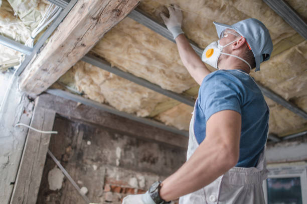 Best Cellulose Insulation in East Dennis, MA